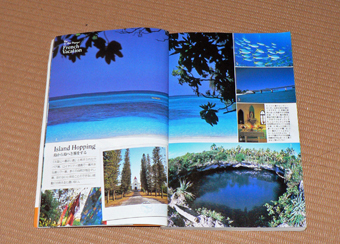 P1050281.jpg